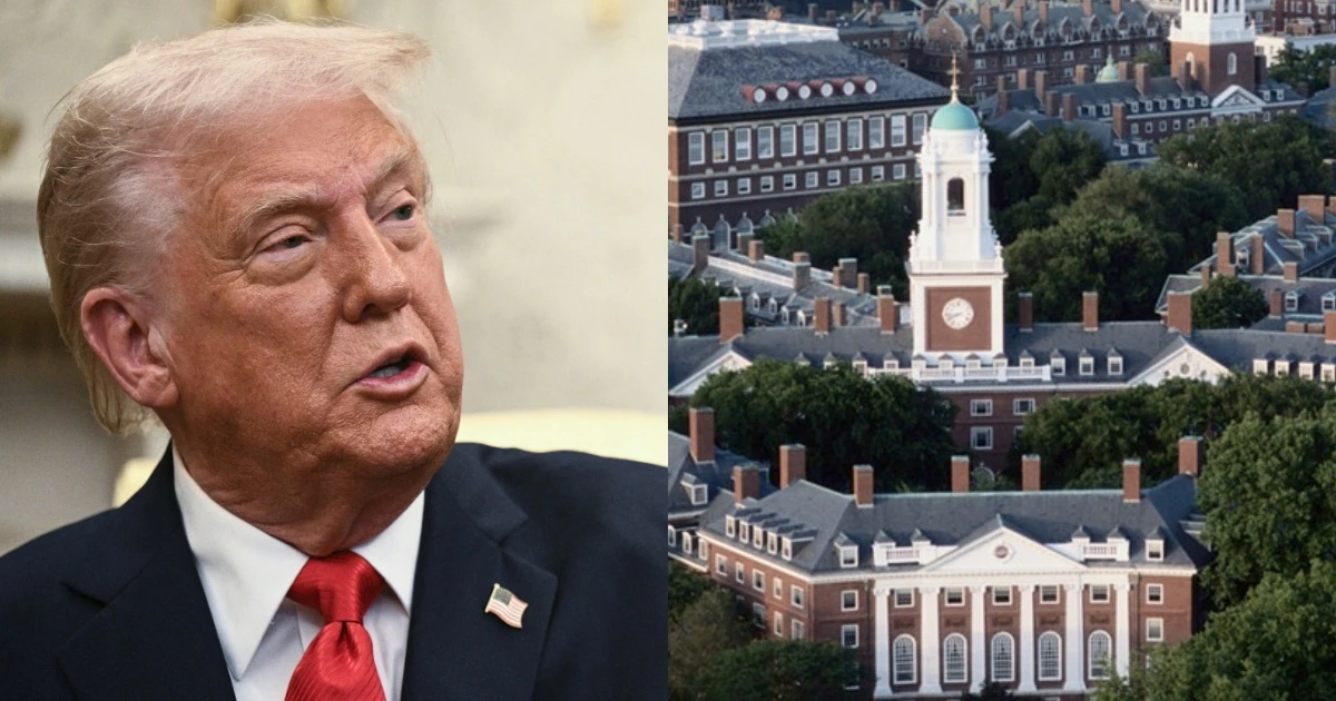 Harvard đối đầu ông Trump, bị cắt viện trợ tỷ USD, tước quyền tuyển du học sinh? - Hình 7