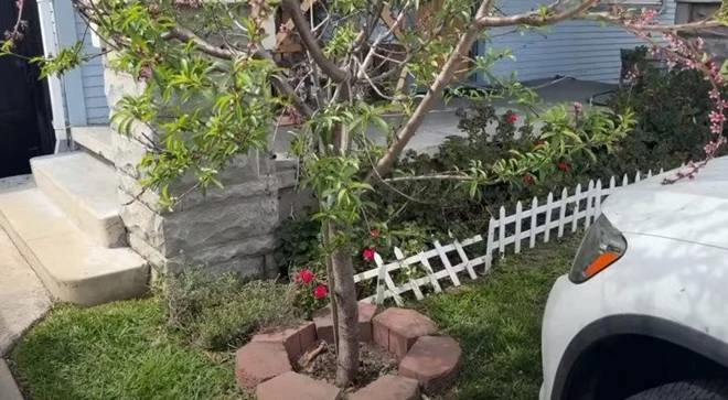Vợ Đức Tiến cầu cứu vì trộm đột nhập nhà ở Mỹ, mất đồ quý, liền dọn đi chỗ khác - Hình 8