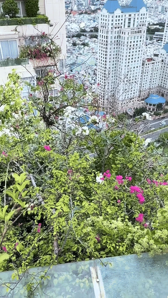 Ốc đảo trên mây của phú bà sống ở penthouse tầng 36: View ôm trọn Lanmark 81, trái ngọt hoa thơm tựa vườn thiên đàng - Hình 5