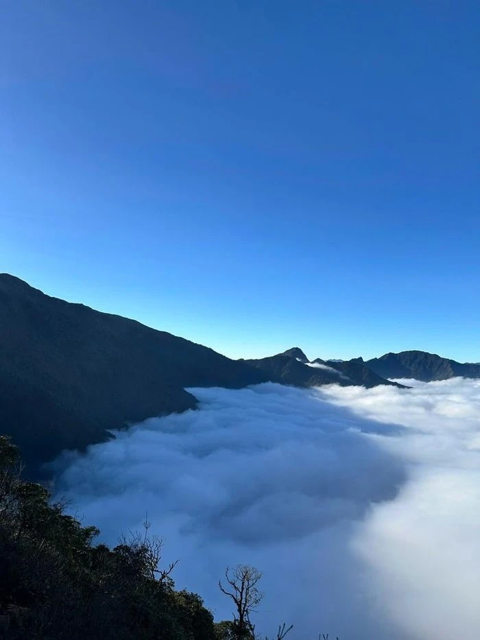 Chiêm ngưỡng thiên đường mây và hoa đỗ quyên trong hành trình chinh phục đỉnh Tà Xùa - Hình 7
