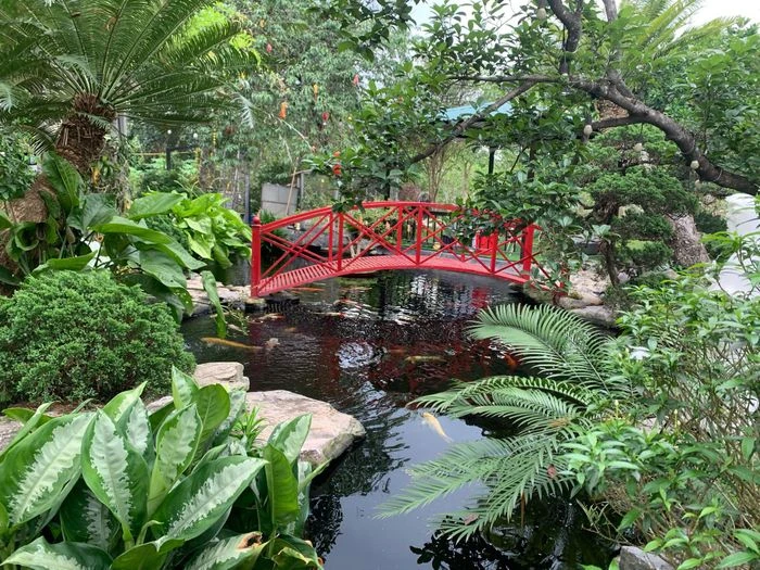 Giám đốc bỏ phố về ngoại ô Hà Nội, dành 6 năm làm khu vườn 3.500m2 trong mơ - Hình 7
