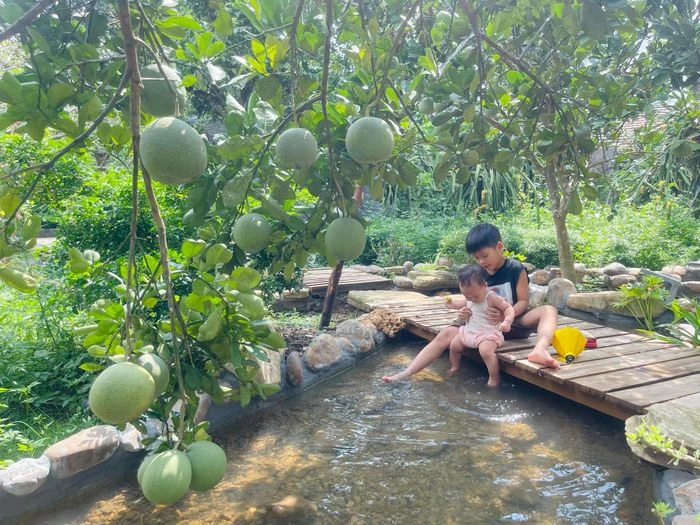 Giám đốc bỏ phố về ngoại ô Hà Nội, dành 6 năm làm khu vườn 3.500m2 trong mơ - Hình 18
