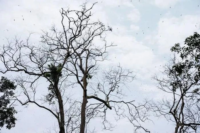 Khám phá sự kỳ bí của một trong những hang động lớn nhất thế giới - Hình 4