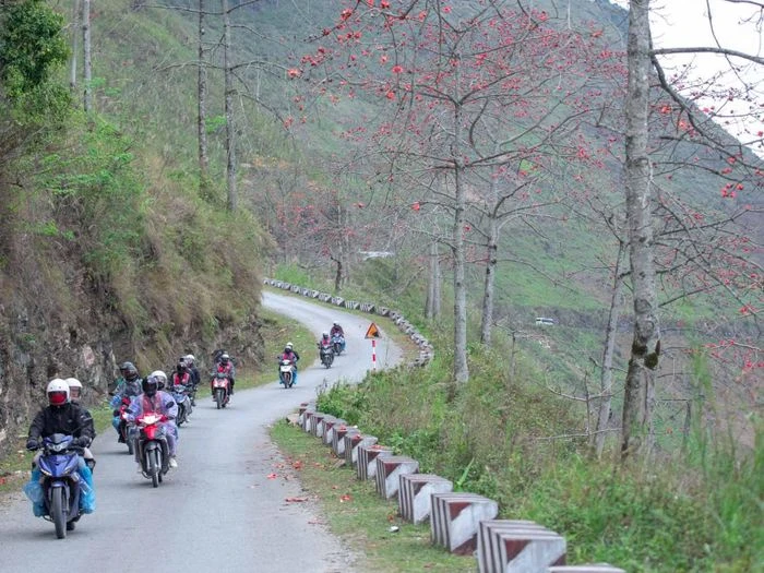 Mùa hoa gạo trên cao nguyên đá Hà Giang - Hình 7
