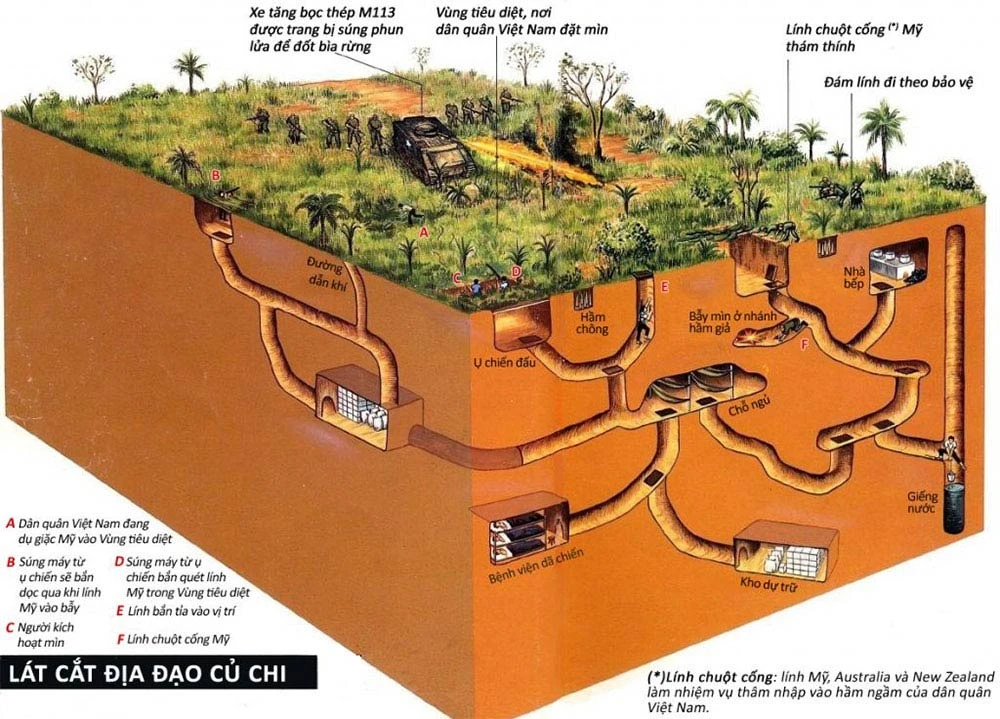 Trào lưu Địa đạo: Anh Tây tung 1001 video review, phấn khích còn hơn dân Việt - Hình 3