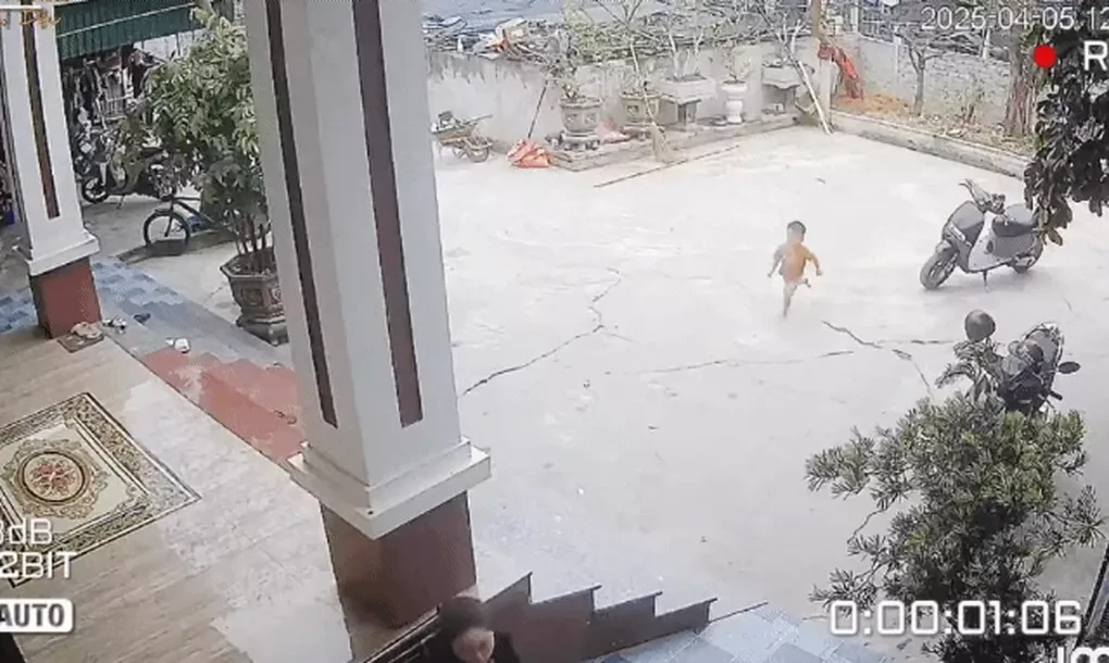Anh hùng nhí 3 tuổi thông minh, mới bi bô tập nói đã cứu bạn thoát đuối nước - Hình 1