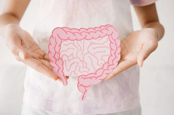 Chế độ ăn tham khảo khi mắc bệnh Babesia - Hình 2