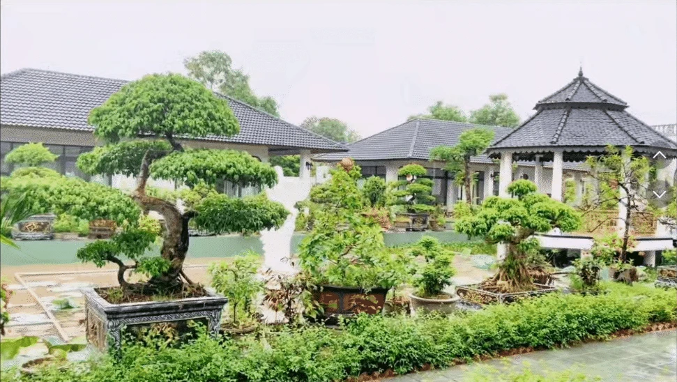4 anh em ruột xây 4 căn villa giống hệt nhau trong khuôn viên rộng 6.000m2 ở Thanh Hóa: Resort nào đọ nổi đây? - Hình 12