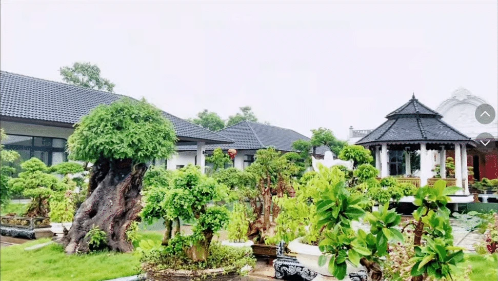 4 anh em ruột xây 4 căn villa giống hệt nhau trong khuôn viên rộng 6.000m2 ở Thanh Hóa: Resort nào đọ nổi đây? - Hình 14