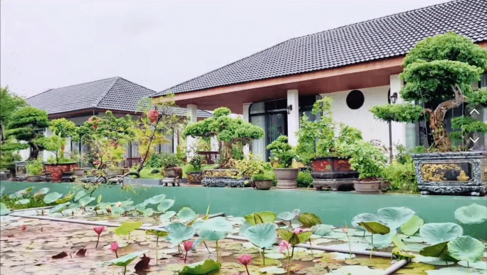 4 anh em ruột xây 4 căn villa giống hệt nhau trong khuôn viên rộng 6.000m2 ở Thanh Hóa: Resort nào đọ nổi đây? - Hình 6