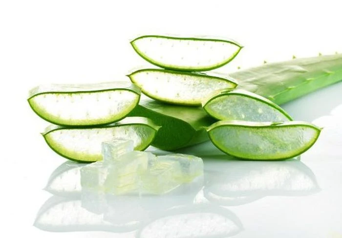 Cách dùng nước ép nha đam chống rụng tóc - Hình 1