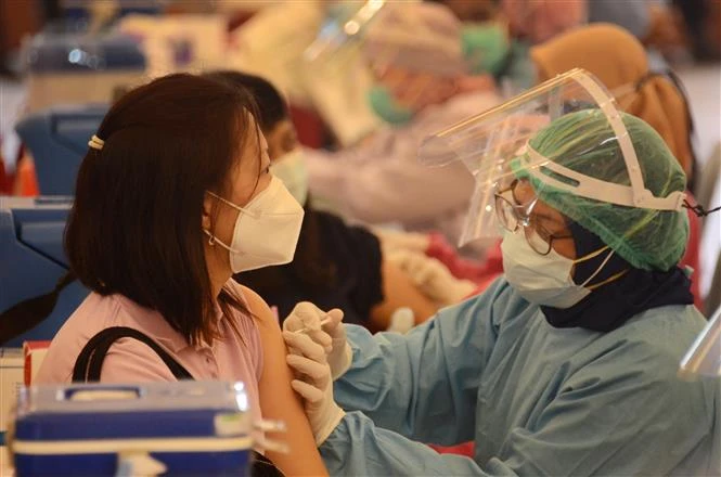 COVID-19 tái bùng phát: VN có 20 ca mỗi tuần, Thái trong nửa tháng 50 ngàn ca - Hình 3