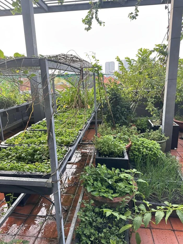 Diệp Bảo Ngọc: ma nữ đẹp nhất màn ảnh Việt, có cuộc sống độc thân chuẩn phú bà - Hình 7