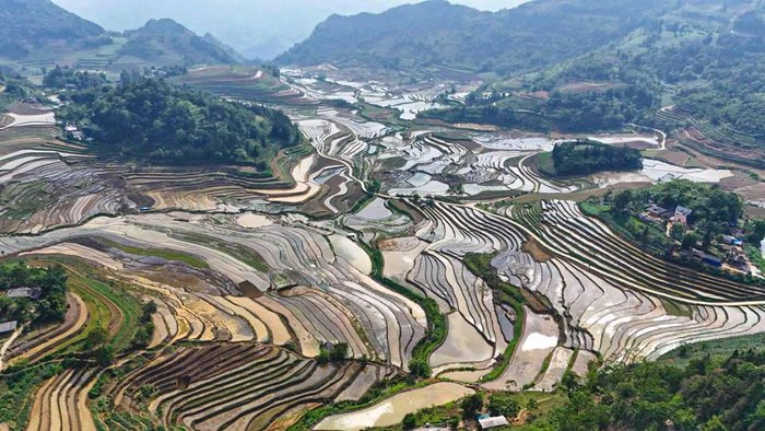 Ruộng bậc thang Sín Chéng mùa nước đổ - Hình 1