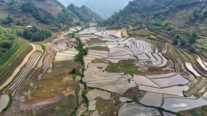 Ruộng bậc thang Sín Chéng mùa nước đổ - Hình 2