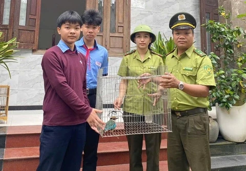Tranh cãi mang chim ra quán cafe không giấy tờ sẽ bị phạt, Kiểm lâm Huế nói gì? - Hình 4