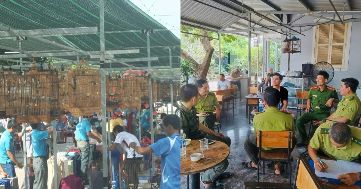 Tranh cãi mang chim ra quán cafe không giấy tờ sẽ bị phạt, Kiểm lâm Huế nói gì? - Hình 6