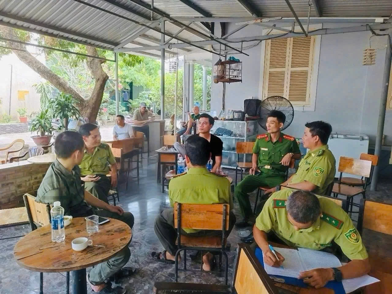 Tranh cãi mang chim ra quán cafe không giấy tờ sẽ bị phạt, Kiểm lâm Huế nói gì? - Hình 1