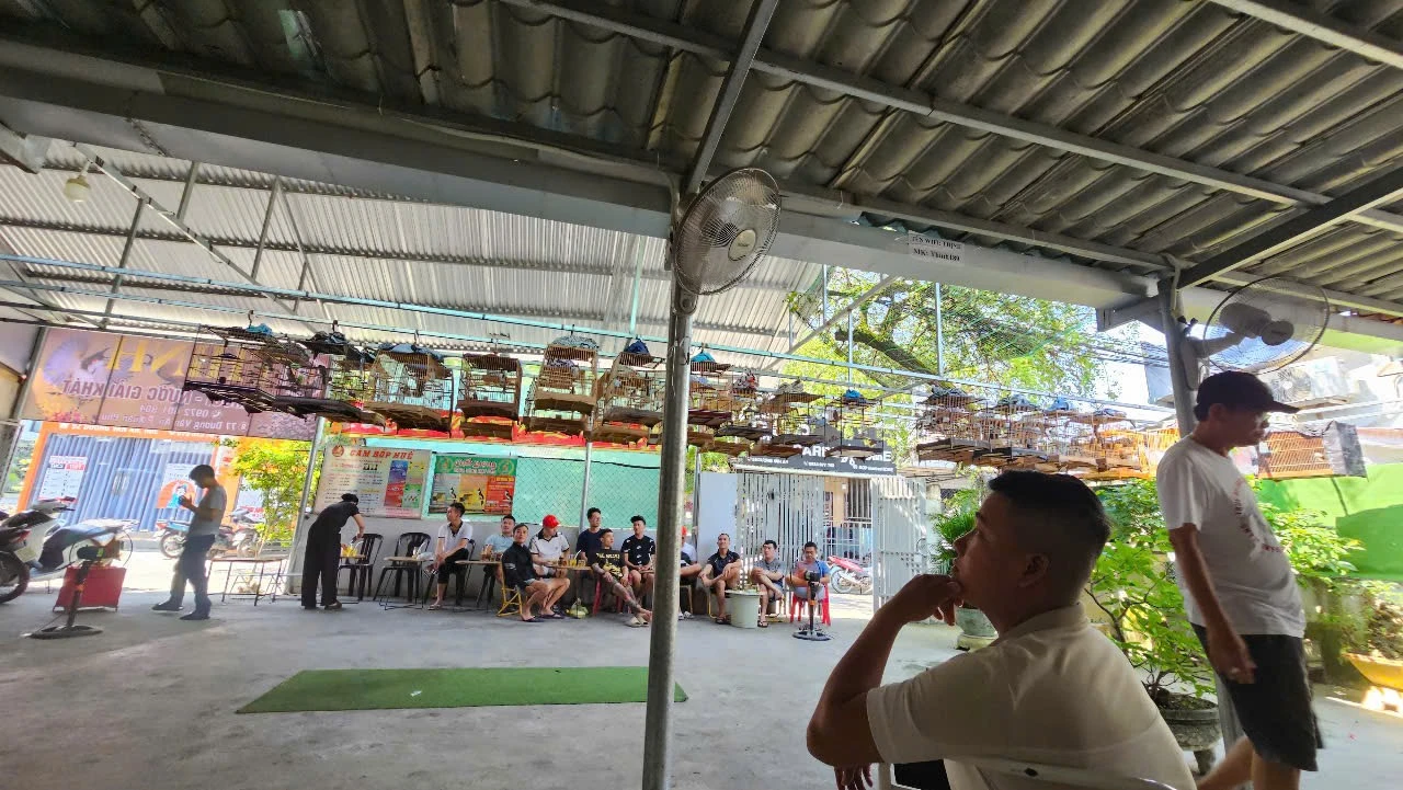 Tranh cãi mang chim ra quán cafe không giấy tờ sẽ bị phạt, Kiểm lâm Huế nói gì? - Hình 5