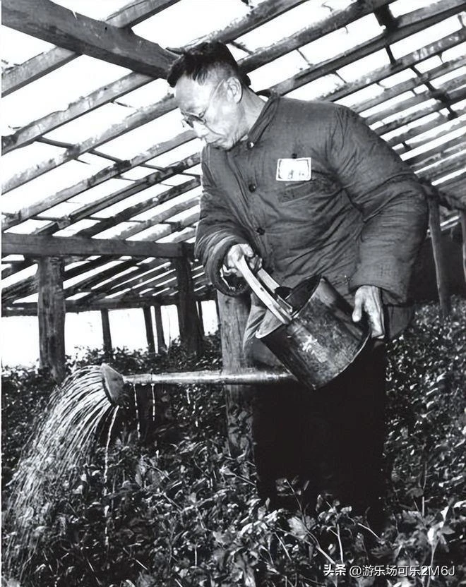 Phổ Nghi hạ mình xin việc chính phủ, bị chối bỏ 2 lần, cuối cùng đẩy vào chỗ này - Hình 4