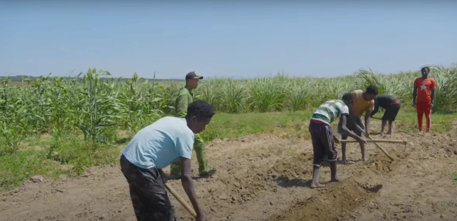 Quang Linh Farm bị cảnh sát Châu Phi kiểm tra, nghi tiếng xấu đồn xa? - Hình 1