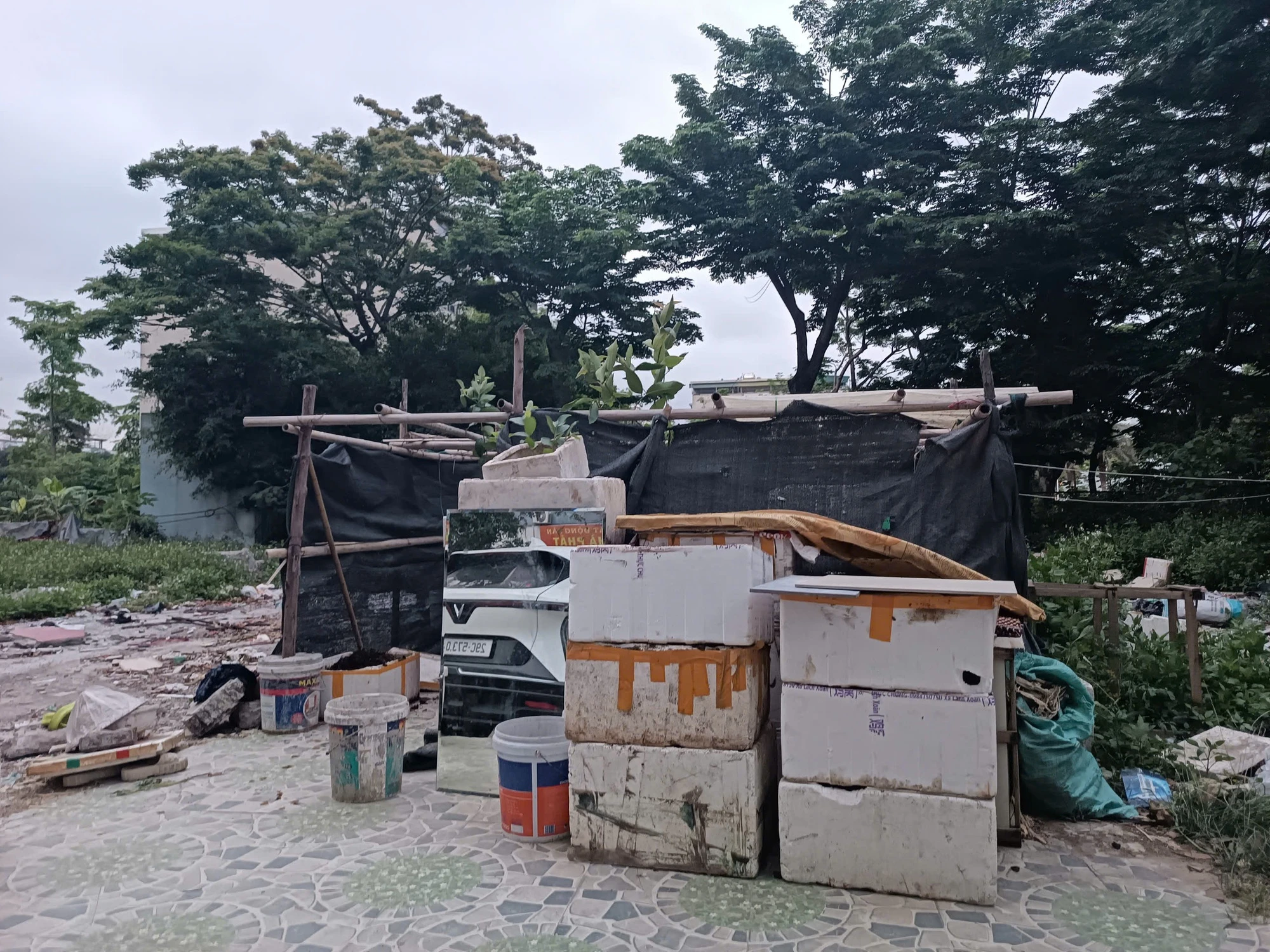 Cả chung cư phát hoảng vì thứ mùi kinh khủng, khi tìm ra nguyên nhân ai cũng phải lắc đầu ngao ngán! - Hình 3