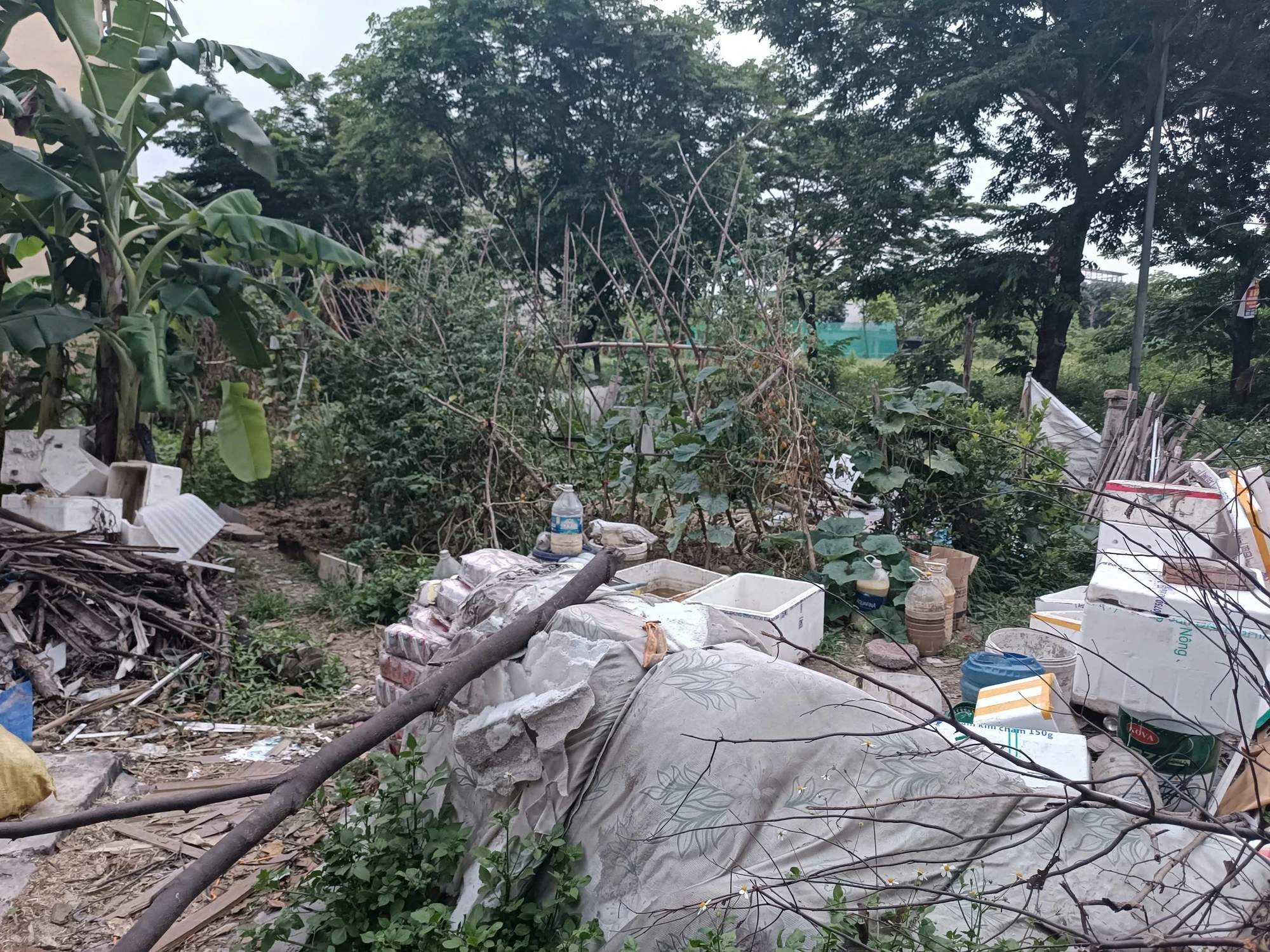 Cả chung cư phát hoảng vì thứ mùi kinh khủng, khi tìm ra nguyên nhân ai cũng phải lắc đầu ngao ngán! - Hình 4