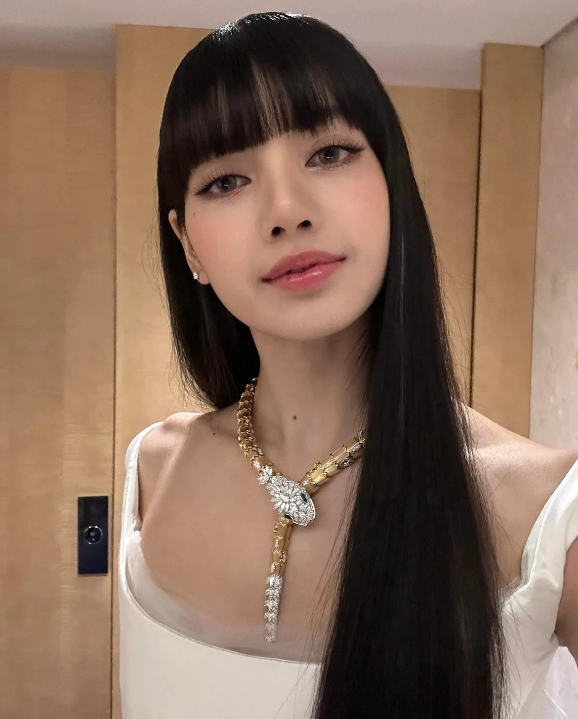 Lisa (BLACKPINK) nghi vấn dựa hơi bạn trai tài phiệt, fan phản pháo gay gắt - Hình 4
