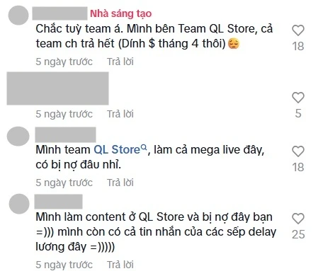 Quang Linh Store như rắn mất đầu, nợ lương, nhân viên cũ lên clip bóng gió? - Hình 4