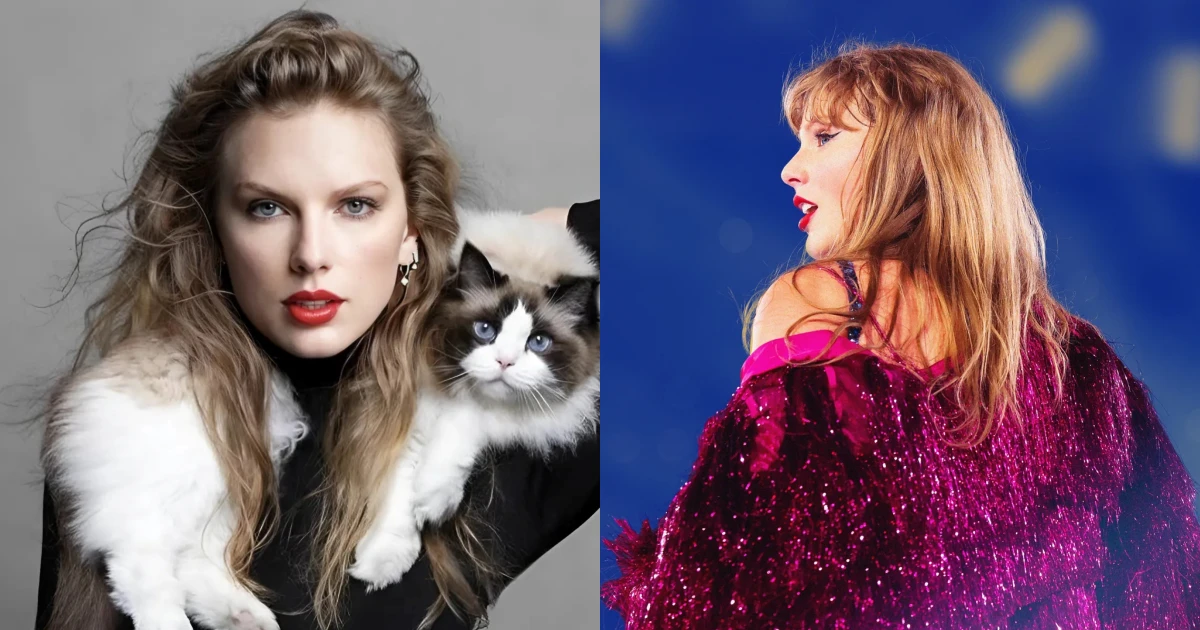 Taylor Swift chuẩn bị tái sở hữu những bản hit huyền thoại, bí mật chưa tiết lộ! - Hình 6