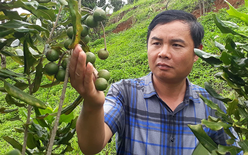 Đại chiến miến dong: át chủ bài của ông P khiến Sùng Bầu chột dạ, xóa đơn tố? - Hình 6