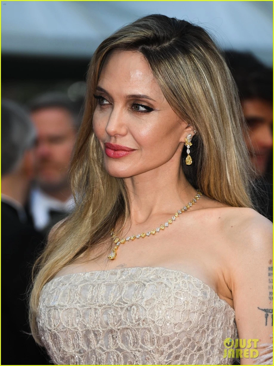 Brad Pitt bị fan tra hỏi về chuyện ly dị, 1 câu rõ thái độ ghét Angelina Jolie? - Hình 6
