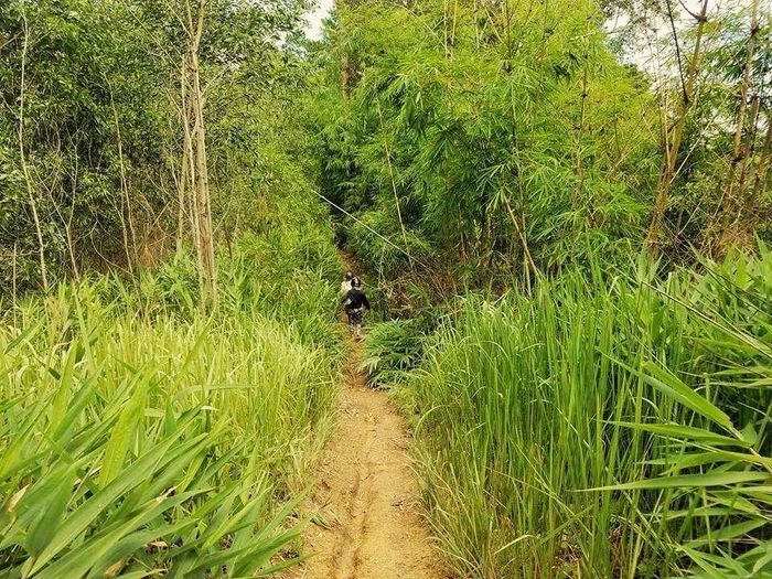Ngắm dải lụa trắng Phi Liêng giữa rừng già Tây Nguyên - Hình 1