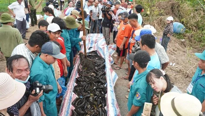 Nhiều hoạt động trải nghiệm hấp dẫn tại Vườn Quốc gia U Minh Hạ - Hình 7