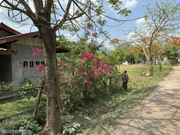Vang Vieng - Bức tranh đồng quê sống động của đất nước triệu voi - Hình 23
