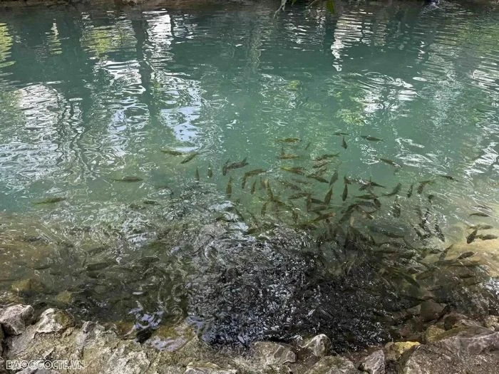 Vang Vieng - Bức tranh đồng quê sống động của đất nước triệu voi - Hình 12