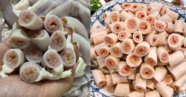 Lòng se điếu là gì, vì sao cực hiếm và đắt đỏ, Đại biểu Quốc hội phải lên tiếng - Hình 3