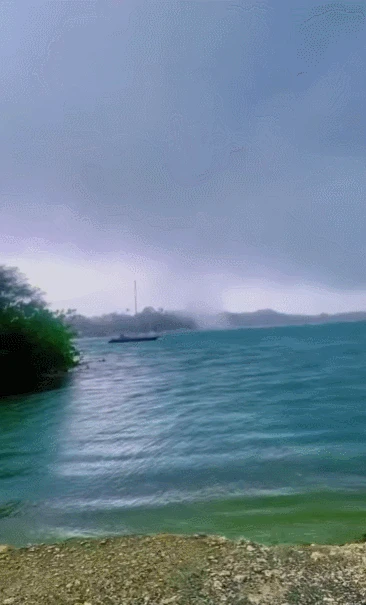 Cảnh tượng sốc: Cá bay đầy trời ở vùng biển Caribe, rốt cuộc chuyện gì đang xảy ra? - Hình 1