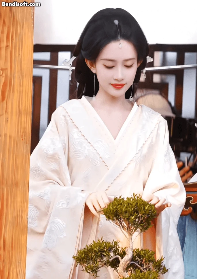 Quận chúa Trung Quốc đẹp nhất trước giờ: Visual quốc sắc thiên hương, hội chị em ngắm xong cũng muốn bẻ cong giới tính - Hình 6