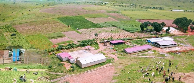 Team Châu Phi mất trụ cột hiến kế, bí mật chấn động về trang trại đã lộ ra? - Hình 1