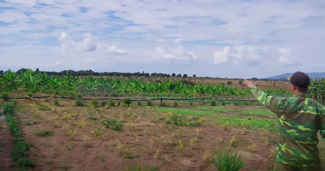 Team Châu Phi mất trụ cột hiến kế, bí mật chấn động về trang trại đã lộ ra? - Hình 4