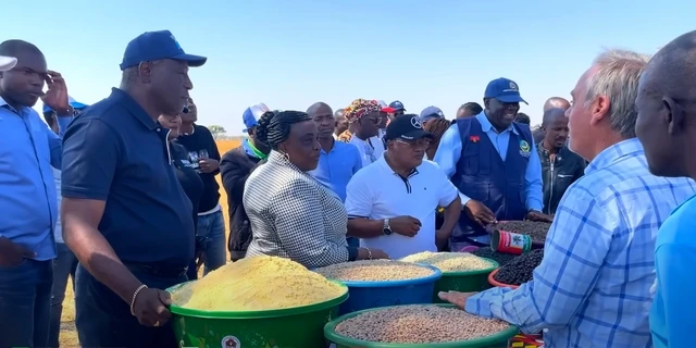 Team Châu Phi mất trụ cột hiến kế, bí mật chấn động về trang trại đã lộ ra? - Hình 5