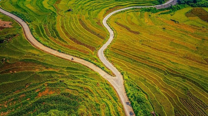 Mùa lúa chín vàng giữa đại ngàn Pù Luông - Hình 7