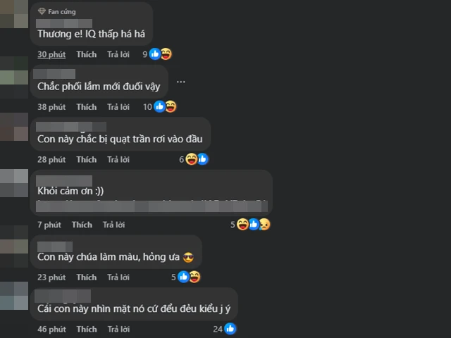 Quang Hải đá thua, vợ làm chuyện khó coi, EQ kém, vợ Xuân Son bị réo - Hình 4
