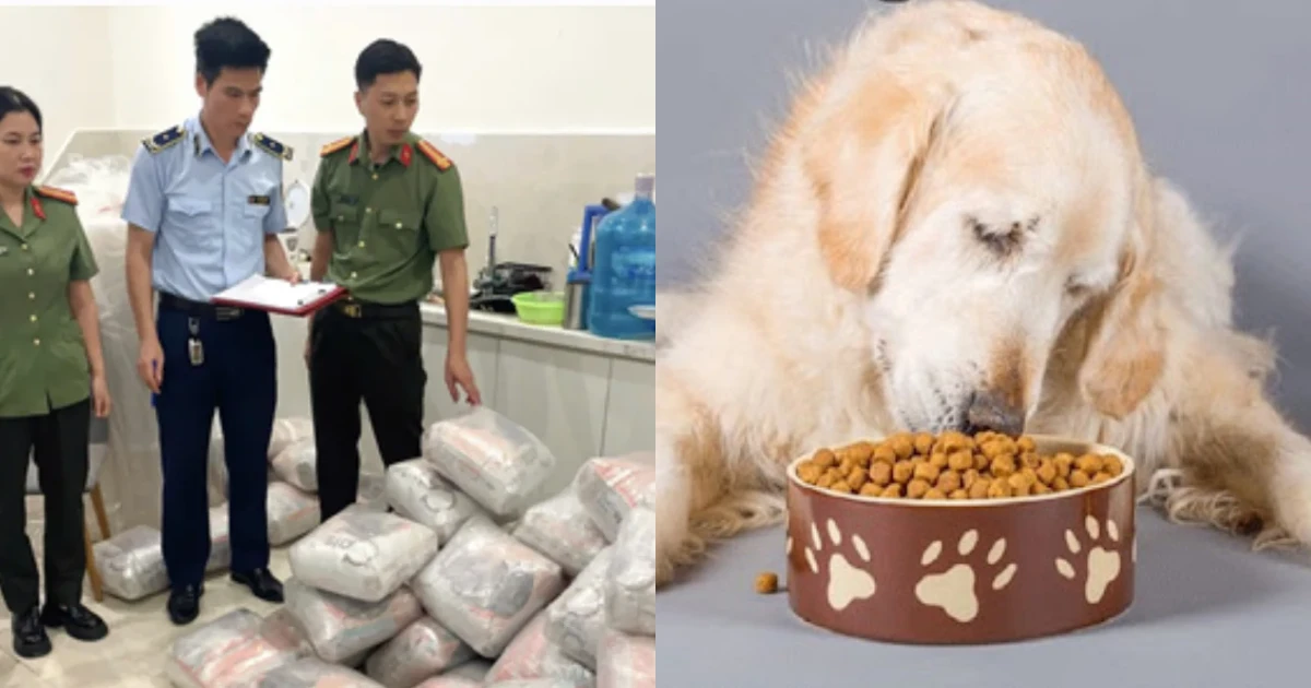 Bóc trần xưởng ngầm sản xuất thức ăn mèo giả Catsrang giữa khu đô thị cao cấp! - Hình 6