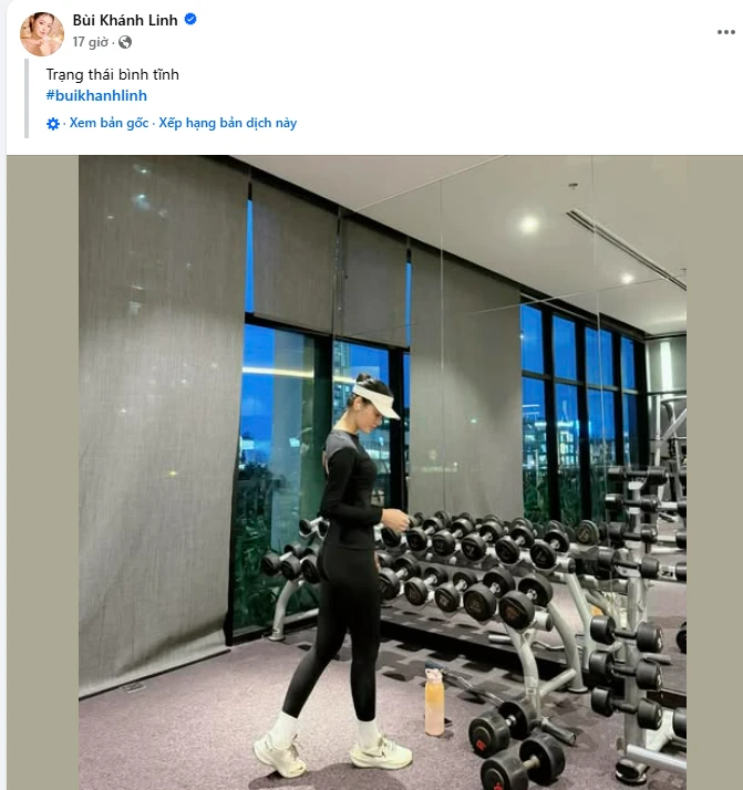 Bùi Khánh Linh bị hủy show vì nghi bầu bí, phải sang Mỹ sinh con cho đại gia? - Hình 1