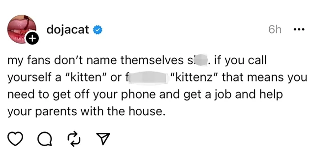 Doja Cat tố fan sờ soạng, vứt áo được tặng còn chê có mùi, hút 70 triệu lượt xem - Hình 7