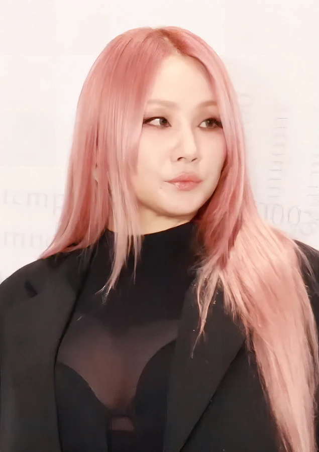 CL (2NE1) cùng G-Dragon đổ bộ Việt Nam, vẫn ngầu như thời mới debut? - Hình 4