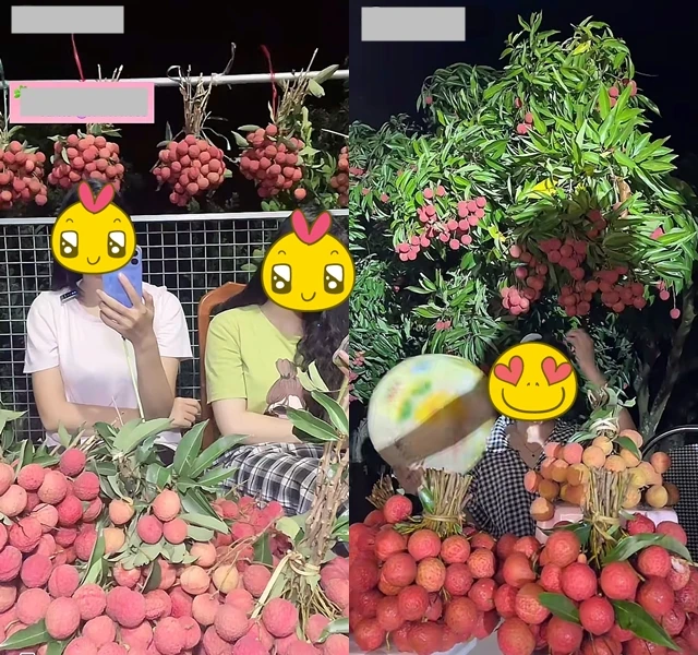 Không phải đi chơi, Gen Z về quê... bán vải trên TikTok, chốt đơn từ 5h sáng! - Hình 6