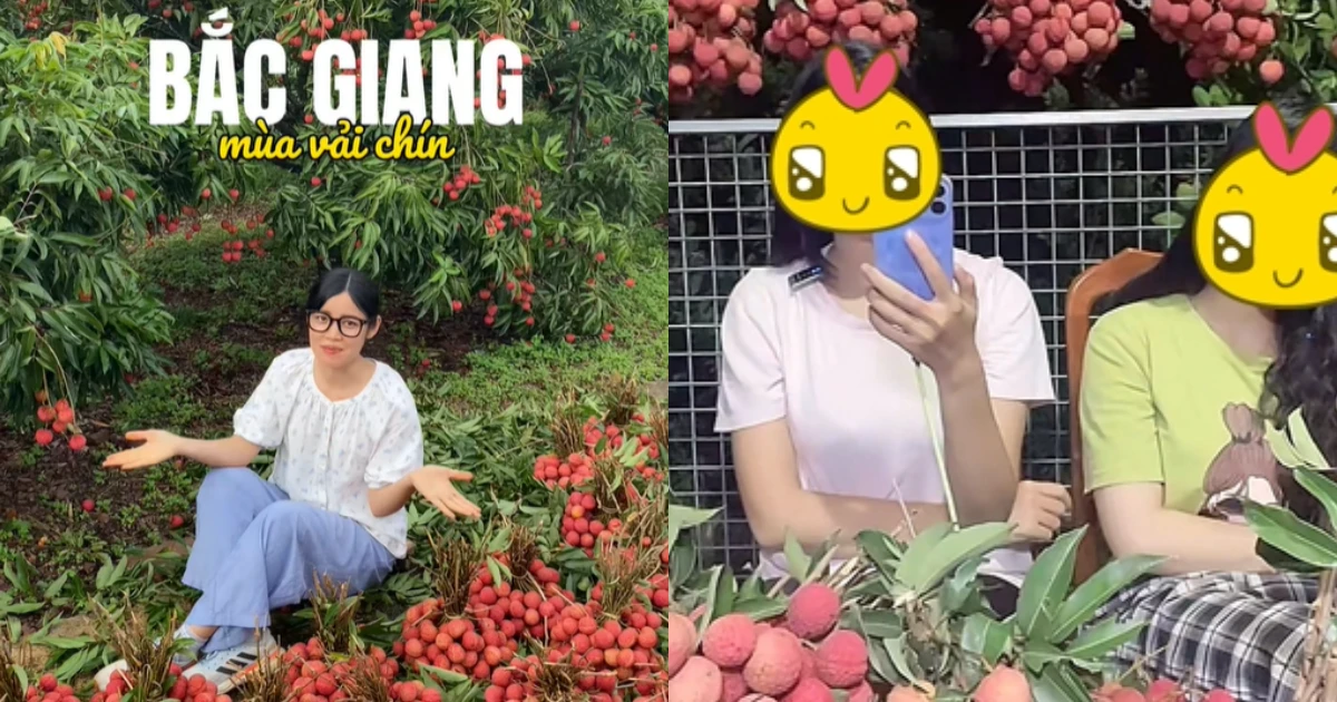 Không phải đi chơi, Gen Z về quê... bán vải trên TikTok, chốt đơn từ 5h sáng! - Hình 7